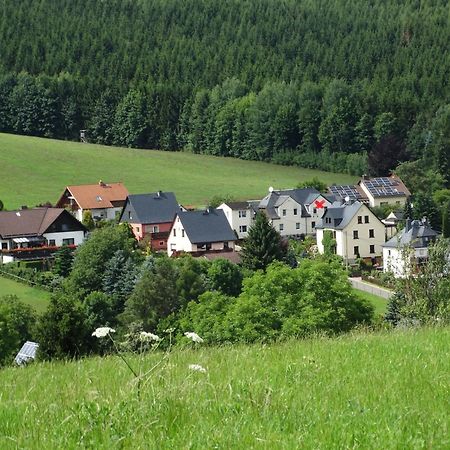 Ferienwohnung "Am Vaterlandsgrubenweg" Oelsnitz  Bagian luar foto